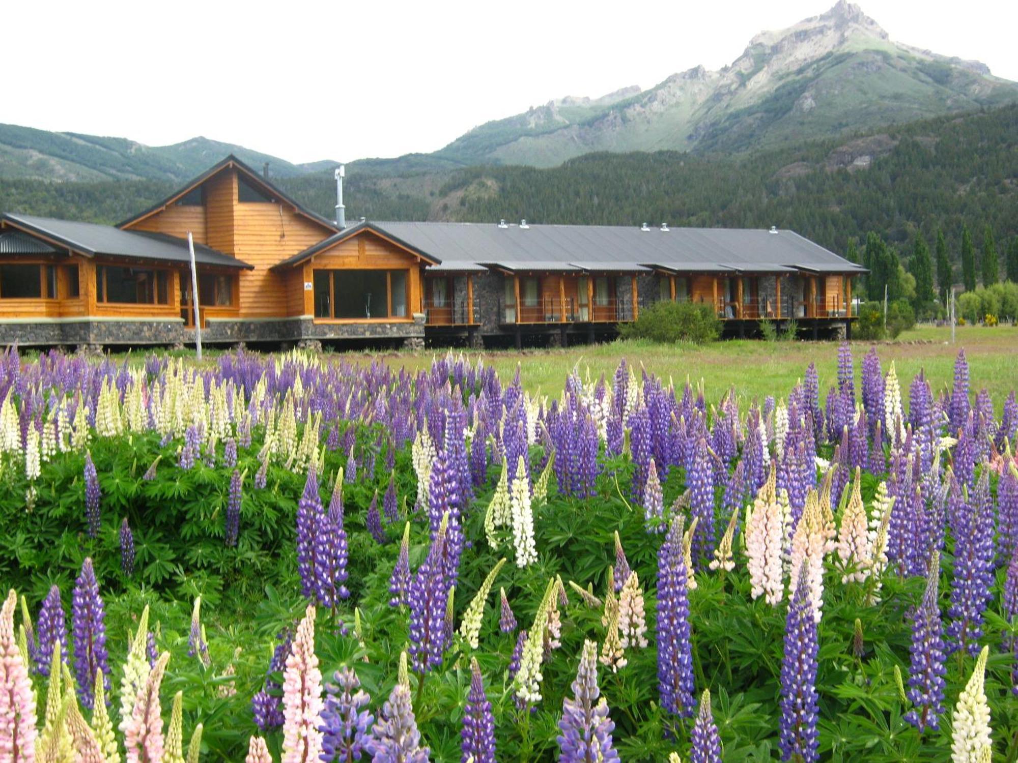 Hosteria Ruca Kitai Villa Lago Rivadavia ภายนอก รูปภาพ